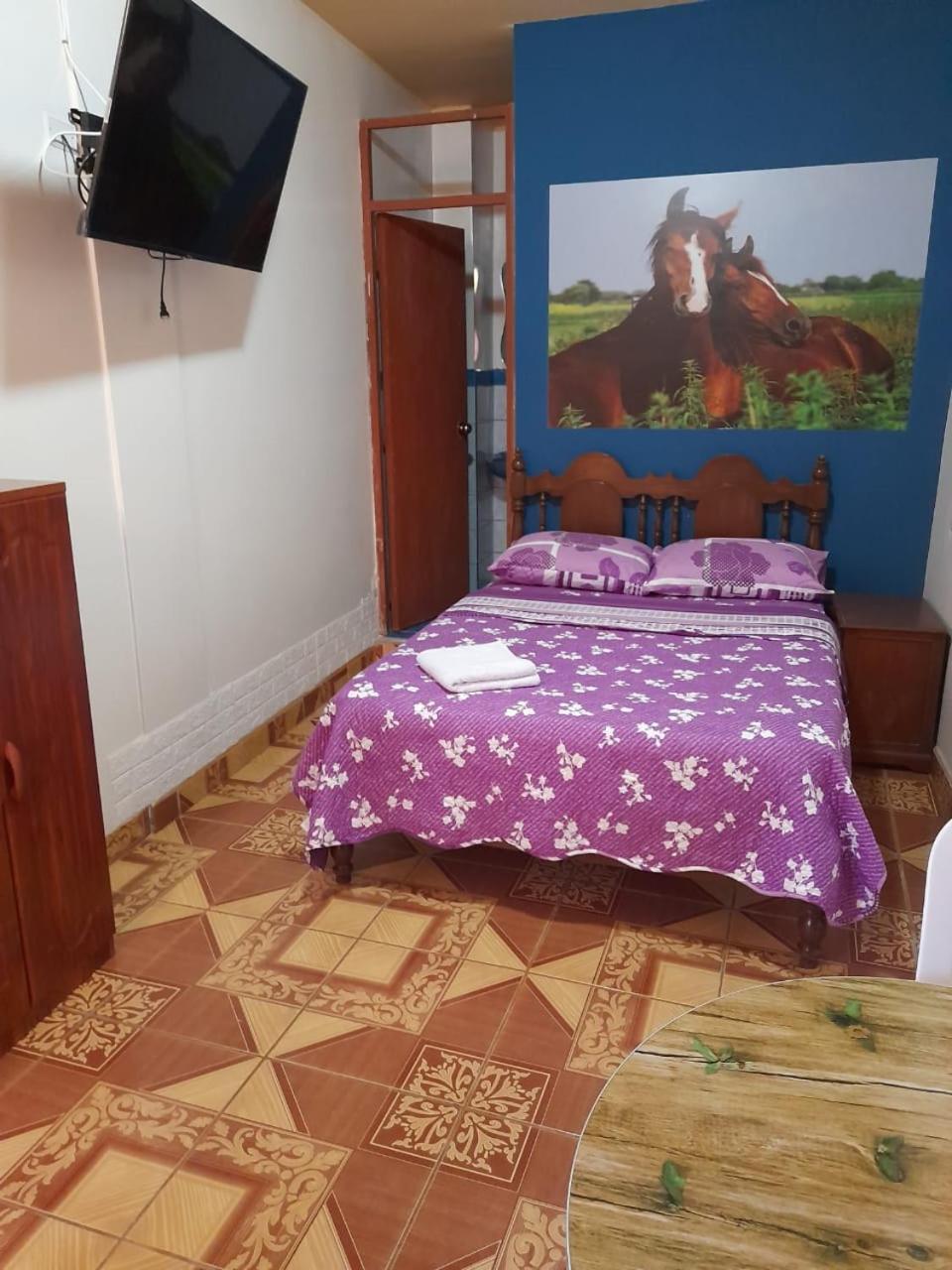 Nasca Trails B&B Νάζκα Εξωτερικό φωτογραφία