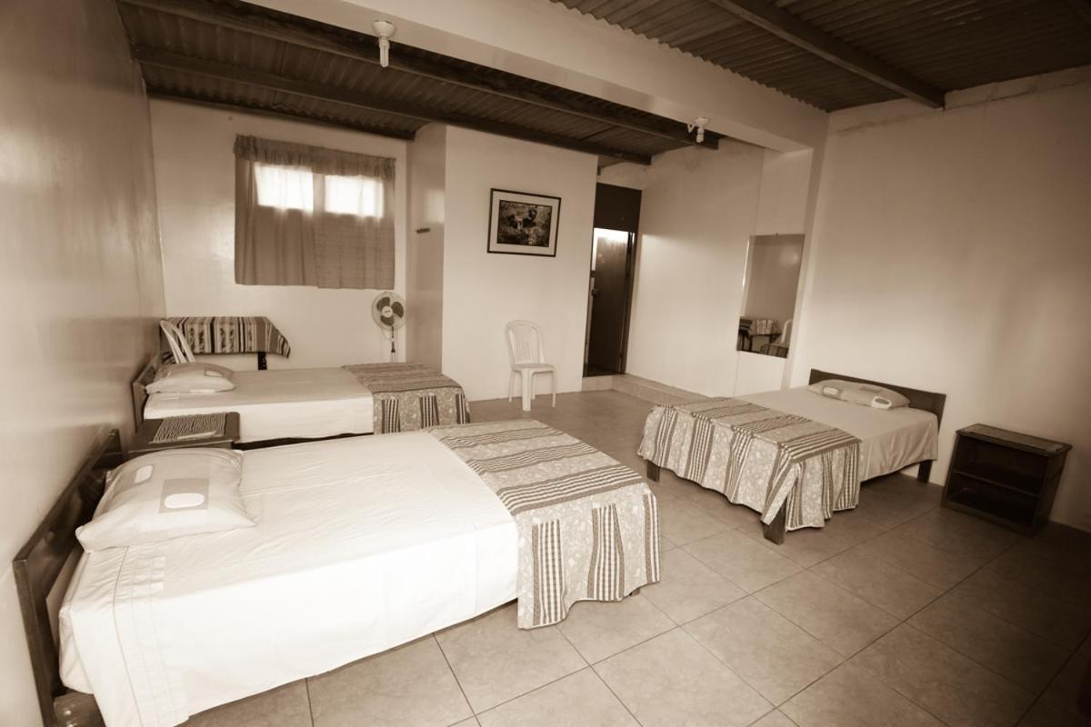Nasca Trails B&B Νάζκα Εξωτερικό φωτογραφία